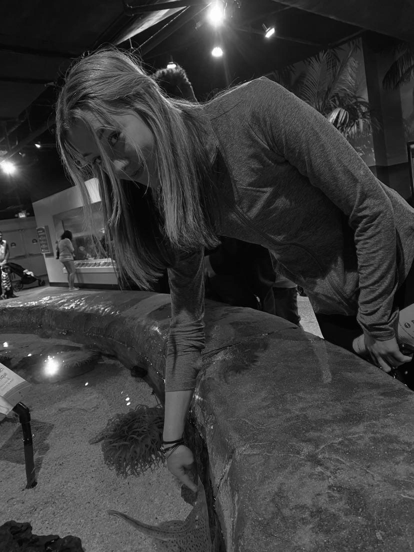 John Glenn High School students studying Marine Biology visited the Newport Aquarium. - 
