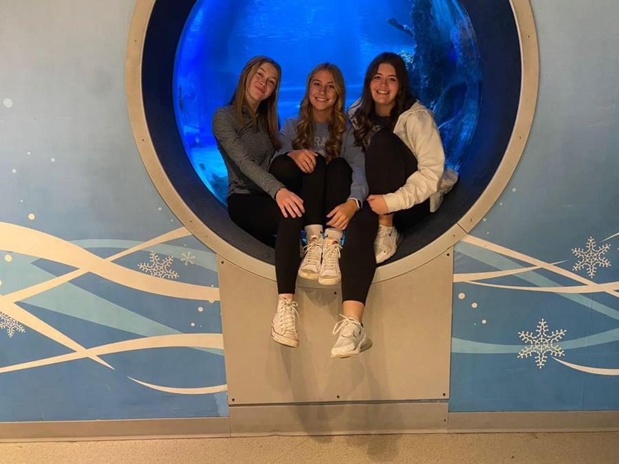 John Glenn High School students studying Marine Biology visited the Newport Aquarium. - 