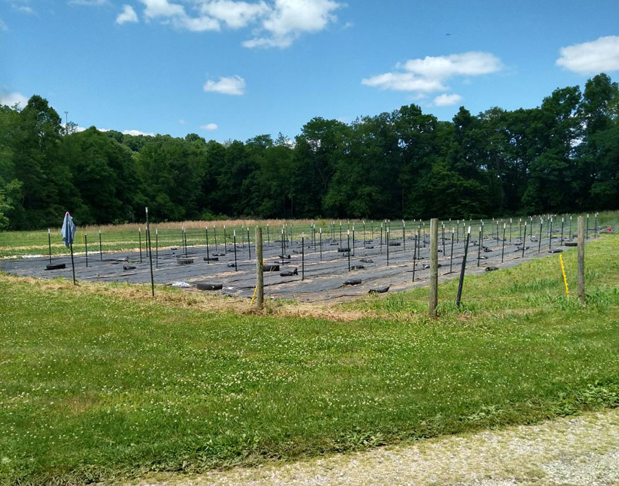 Muskingum County Soil And Water Conservation District - Teaching People To Grow Their Own Food